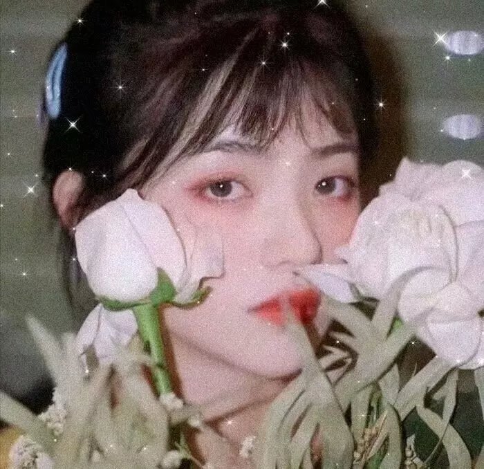 枪灵计划